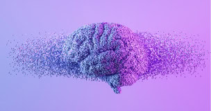 Programa Avanzado en Inteligencia Emocional