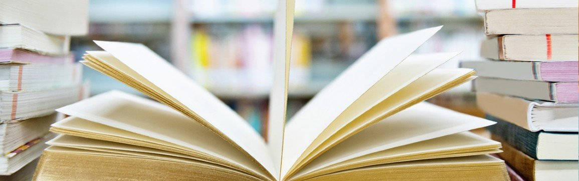curso lengua y literatura