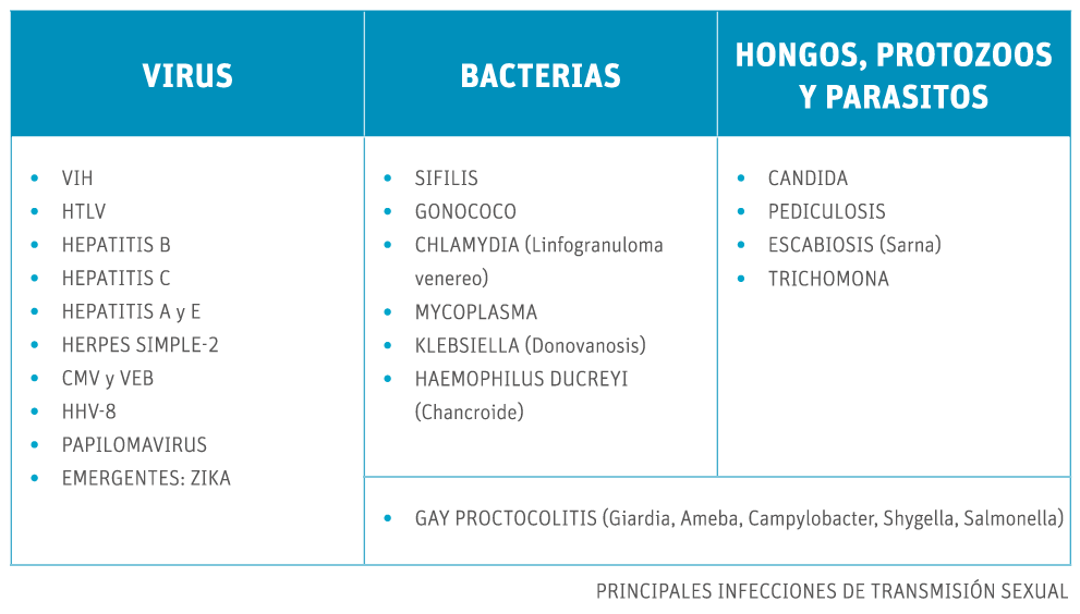Programa Online en Infecciones de Transmisión Sexual UNIR