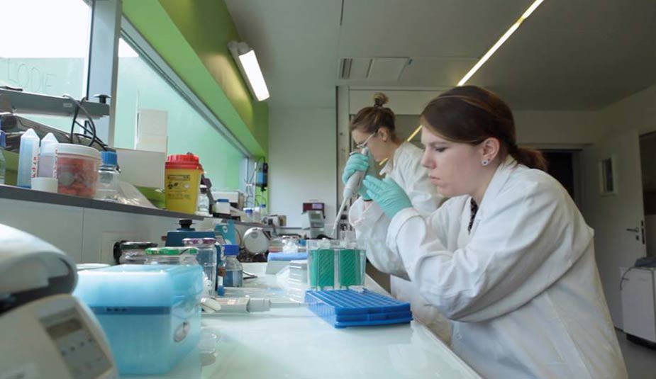 investigacion