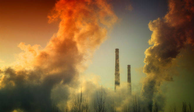 dia-del-medio-ambiente-unir-1