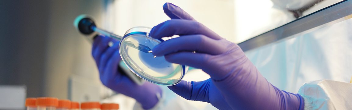 7. Experto Universitario en Genética Clínica y Medicina Personalizada