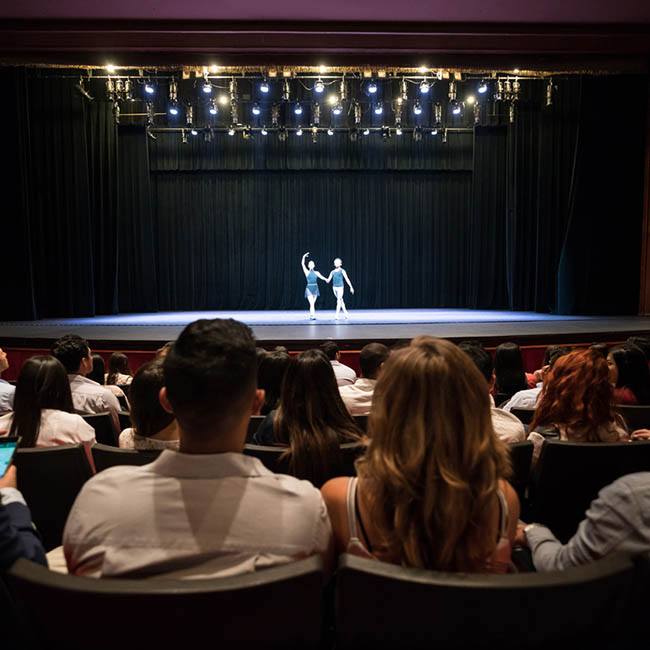 Público en un teatro, observan un espectáculo de ballet
