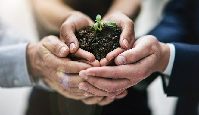 Success begins with one tiny seed