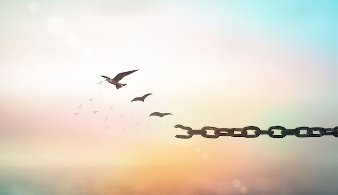 istock-1175643774