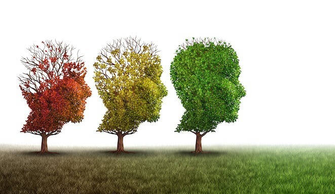 istock-647358008