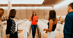 Máster de Formación Permanente en Enoturismo