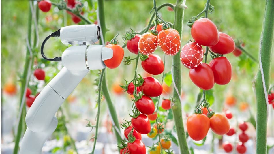 ciencia-tecnologia-alimentos