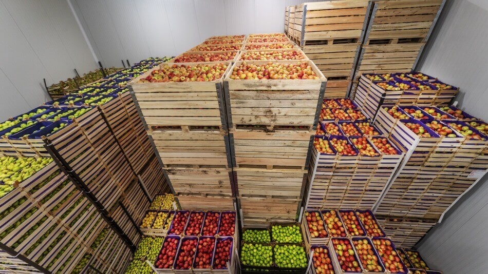 logistica-alimentaria