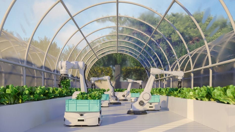 Tecnología de agricultura inteligente con brazos robóticos cosechando verduras en invernadero automatizado