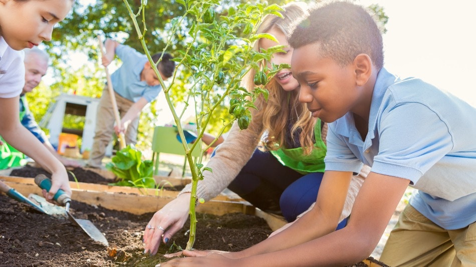 Profesora con niños enseñándoles a cultivar