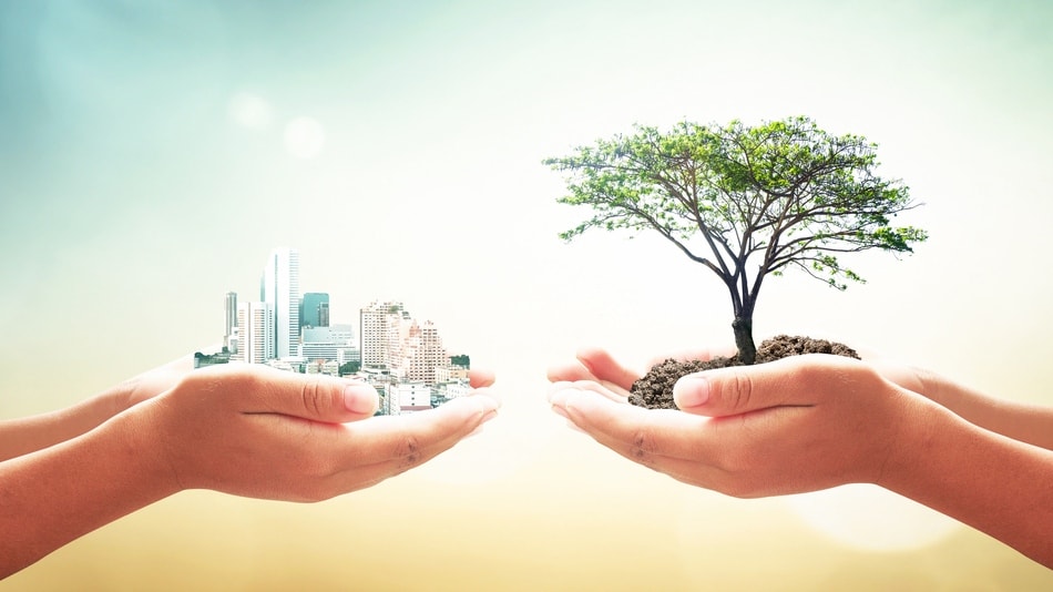 Concepto del Día Mundial del Medio Ambiente manos enfrentadas una sostiene una ciudad la otra un árbol