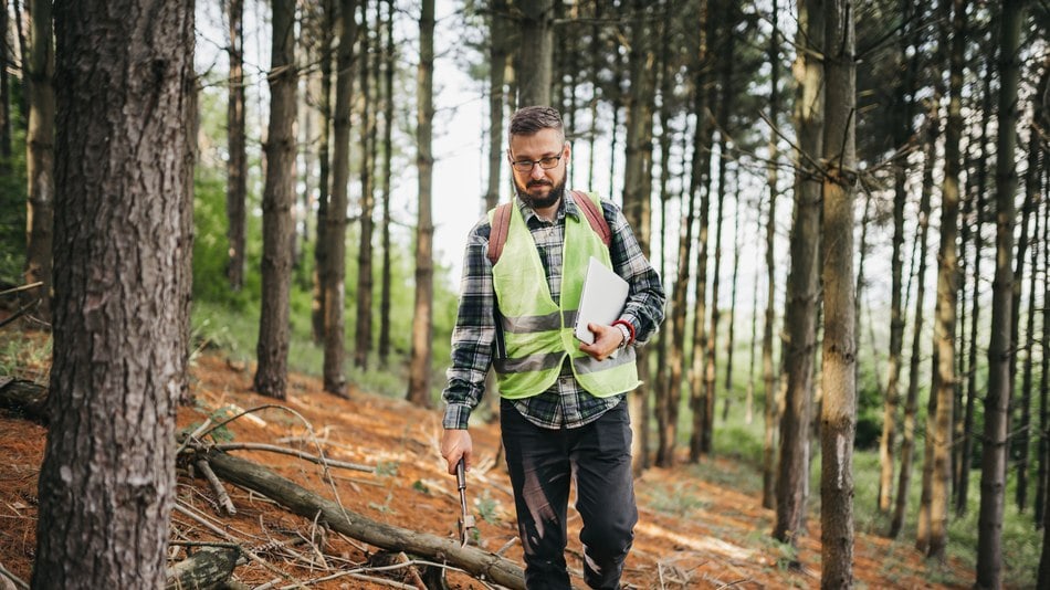 Agente forestal evaluando un pinar