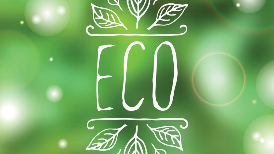 Eco-etiqueta del producto sobre fondo blanco