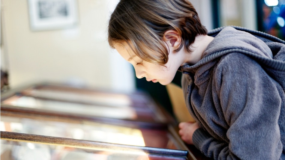 Niño mirando el interior de una vitrina en un museo