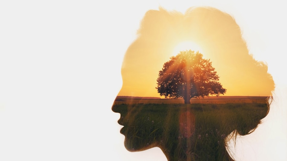 Concepto de desarrollo personal, cabeza de mujer que se ve un árbol y el sol detrás despuntando