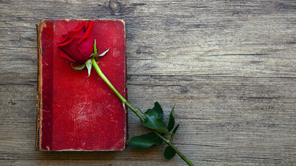 Libro rojo y flor de rosa 