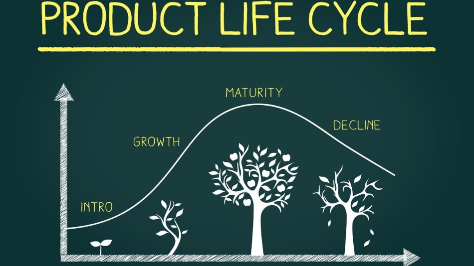 Etapas del ciclo de vida de un producto