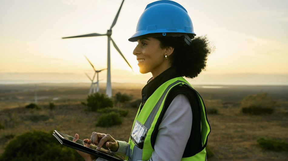 energía eólica reina de las renovables