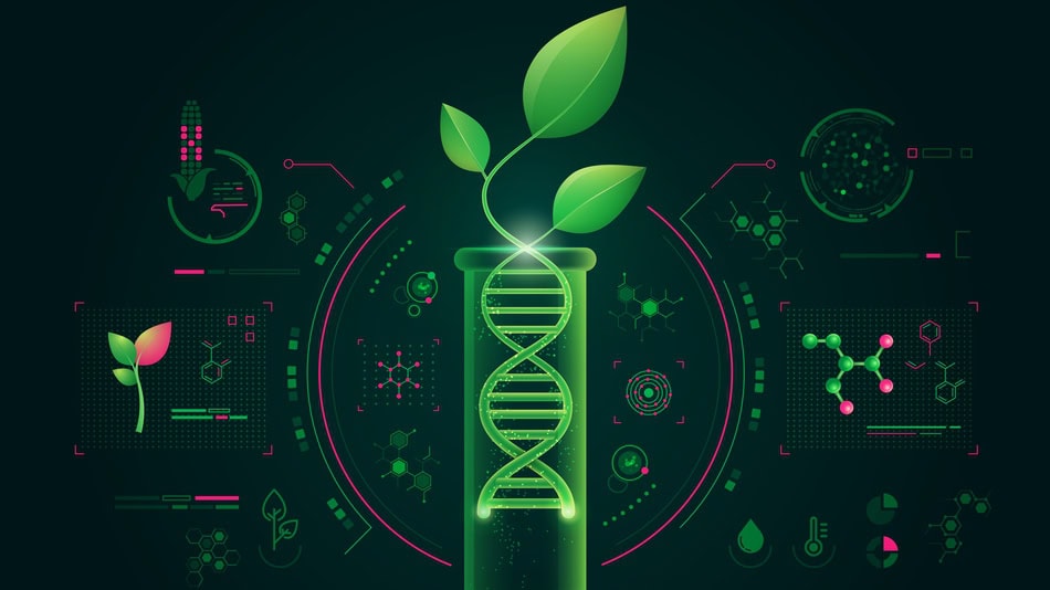 Icono concepto de biotecnología agrícola