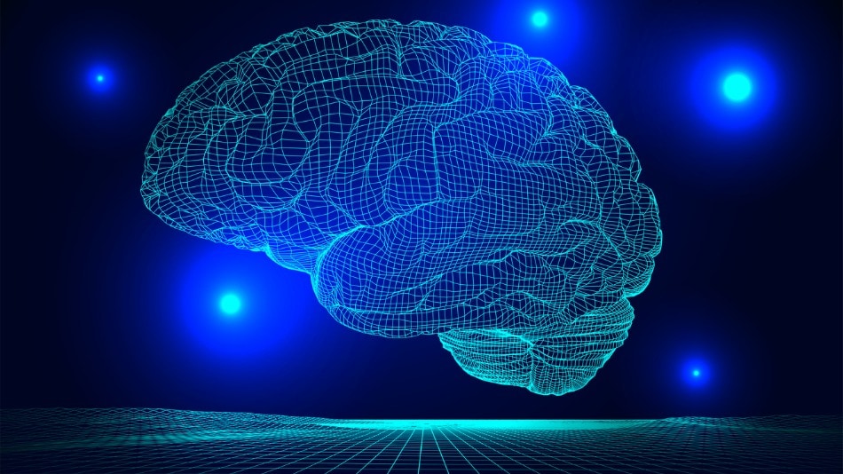 La neuropsiquiatría se estudian las conexiones entre el cerebro y la conducta