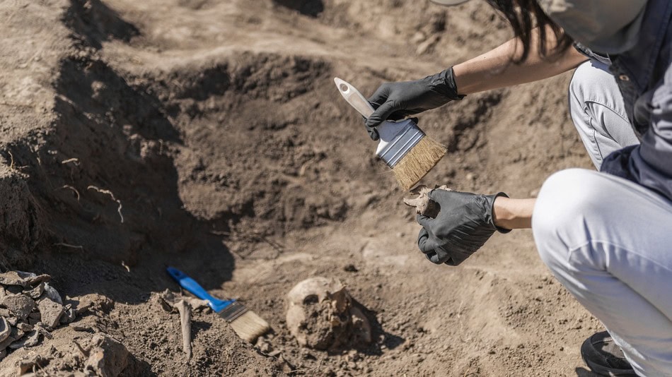 Un antropólogo puede trabajar en diversos ámbitos y sectores, según su formación específica y sus habilidades de investigación social