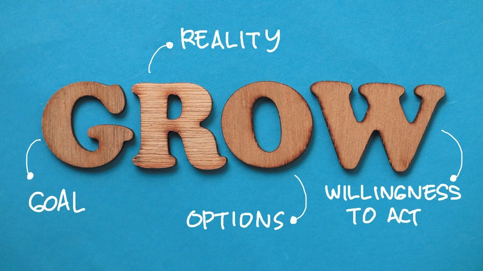Ilustración concepto de Modelo Grow