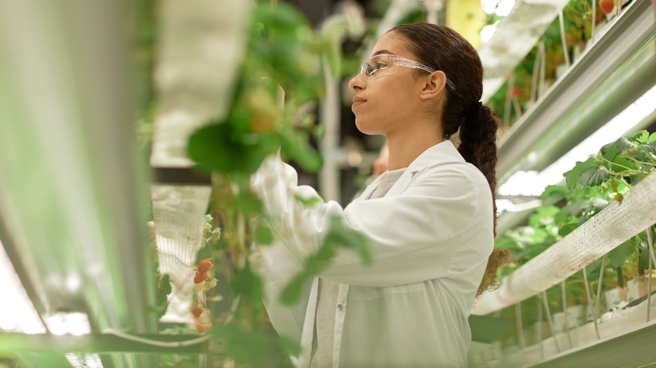 Estudiar bioinformática puede abrir muchas puertas en el mercado laboral