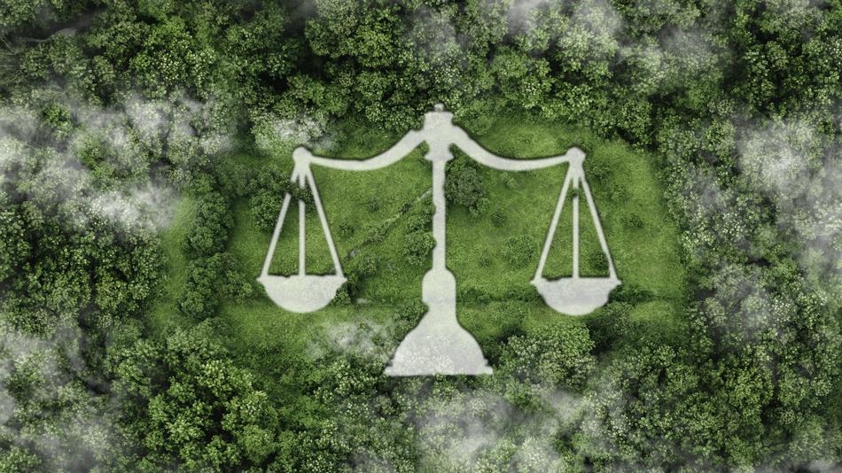La Ley de Responsabilidad Medioambiental introduce el concepto “quien contamina paga”