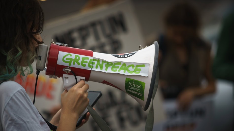 Una de las organizaciones sin ánimo de lucro (entidades de protección medioambiental) es Greenpeace