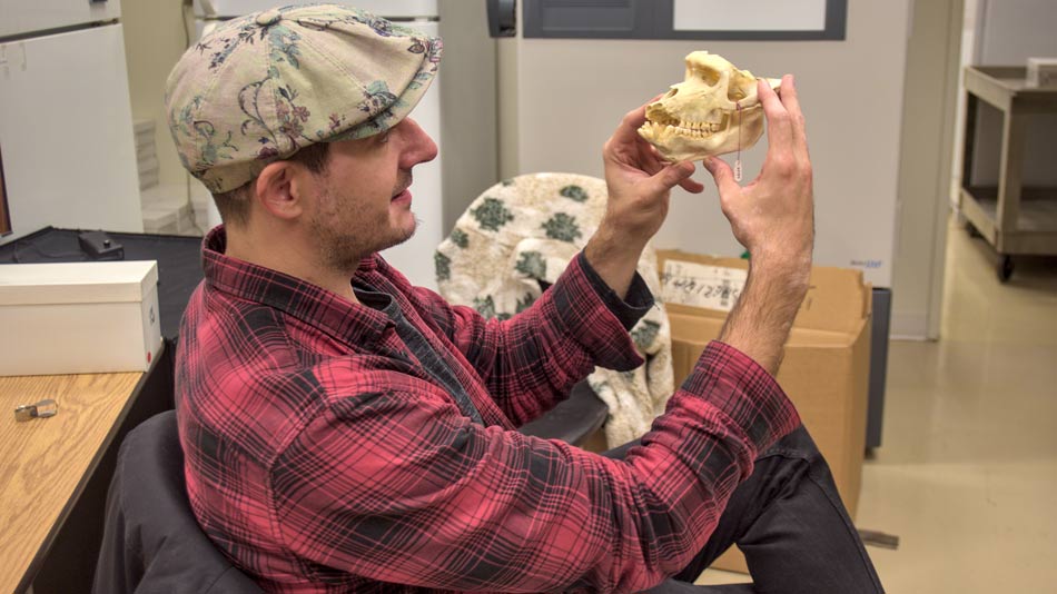 Investigación evolución humana