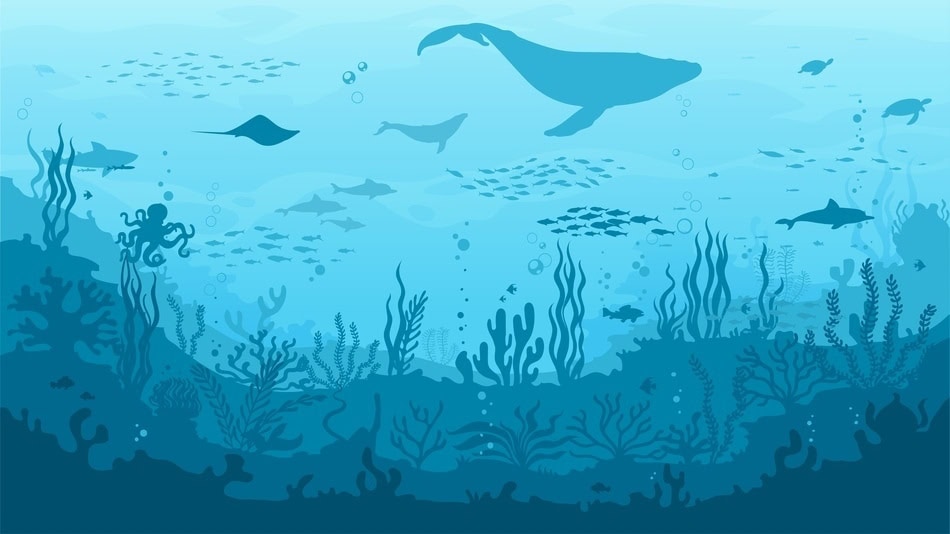 El concepto economía azul ayudó a entender que proteger el mar no es solo un gesto ambiental