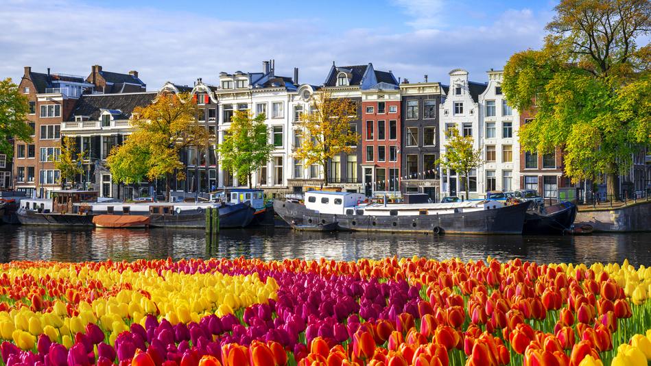 Las urbes sostenibles deben mantener un equilibrio entre desarrollo y bienestar