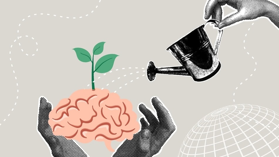 Los factores que influyen en el coeficiente intelectual no pueden explicarse desde una causa única