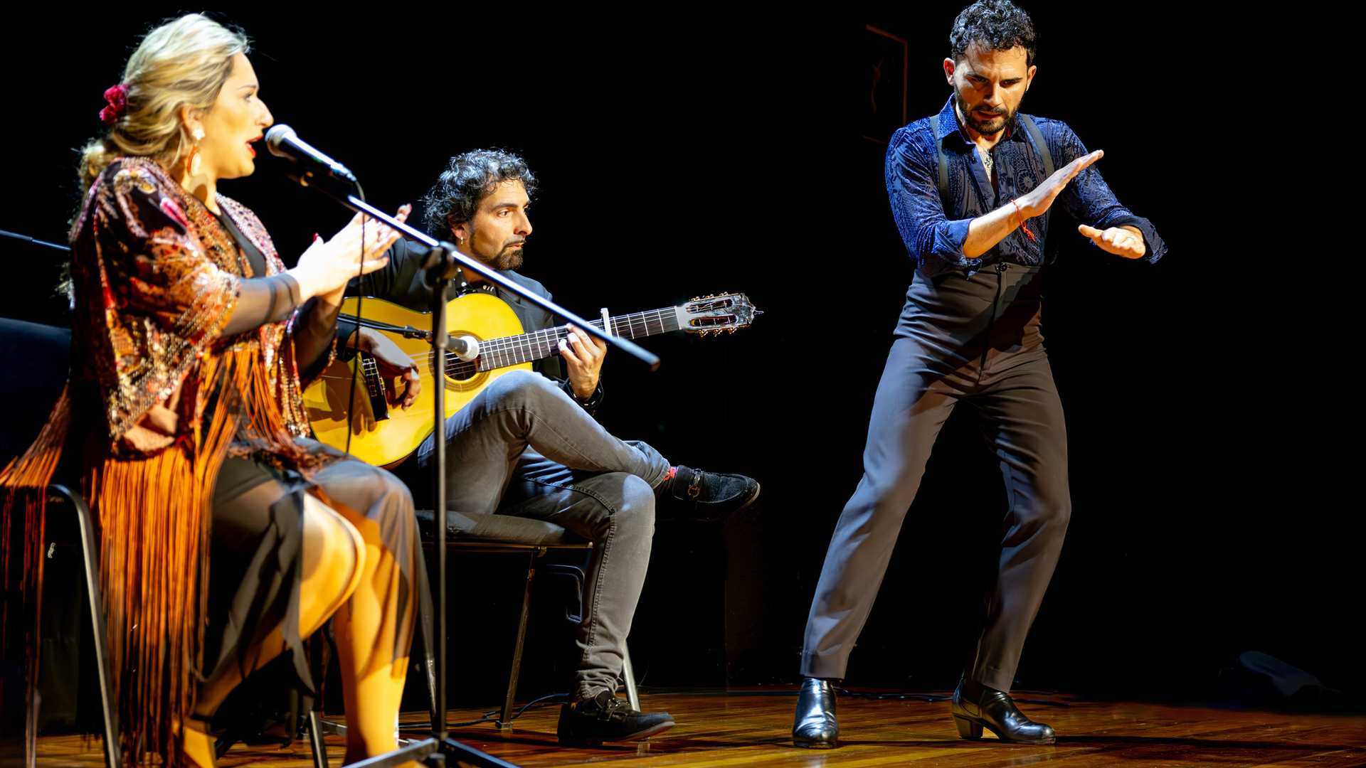 Estudios Avanzados en Flamenco