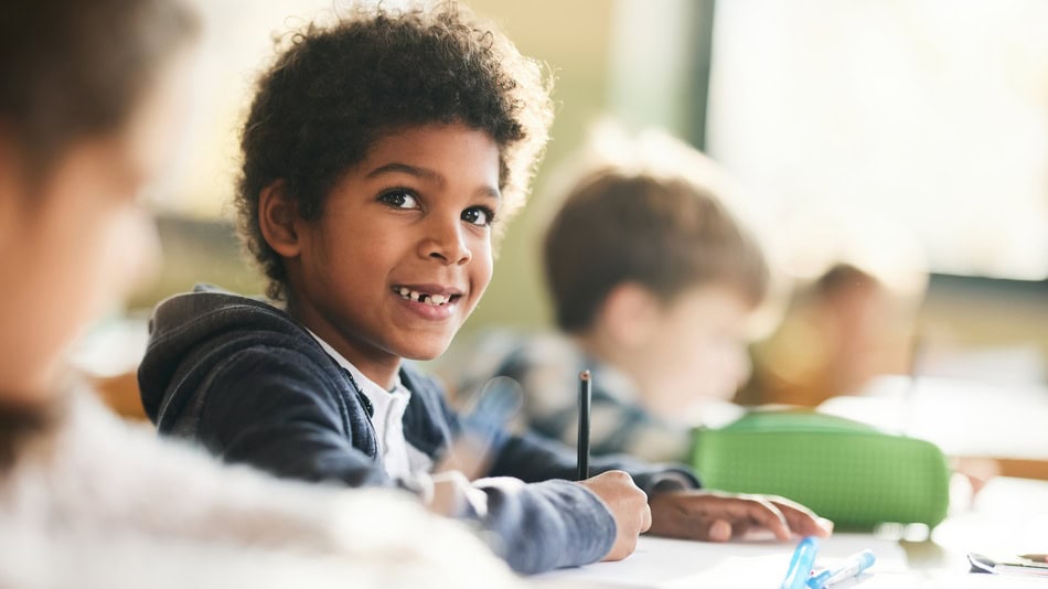 Existe al menos 13 tipos de aprendizaje