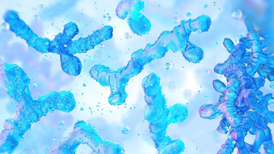 Los s&iacute;ntomas de la microbiota alterada se presentan como: gases, dolor abdominal o cambios en el ritmo intestinal