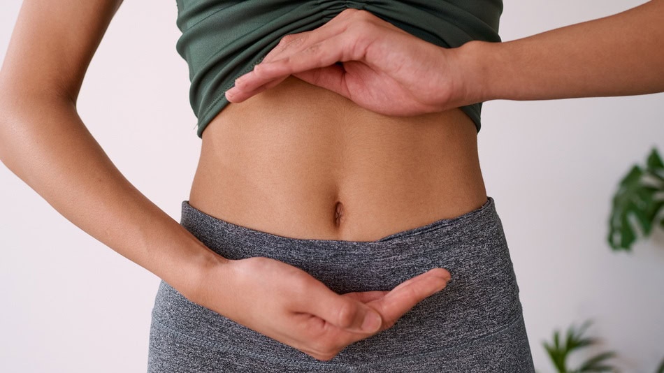 : La microbiota se compone de microorganismos que viven en el organismo y cumplen funciones clave en la digestión, el sistema inmunitario y el metabolismo