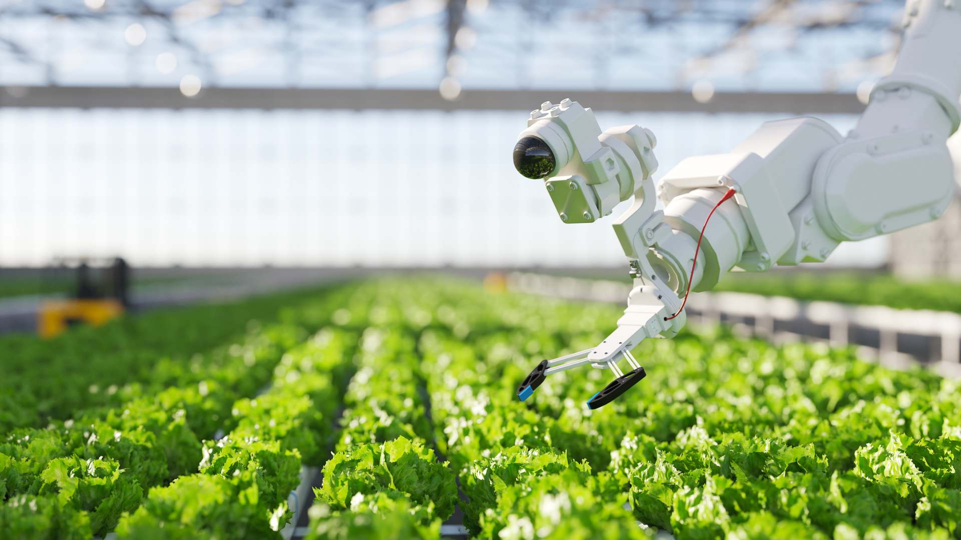 Tecnología para el Sector Agroalimentario
