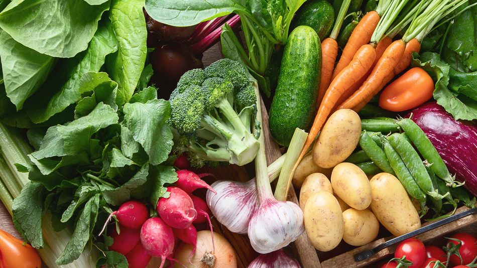 La sanidad vegetal y la seguridad alimentaria est&aacute;n estrechamente conectadas