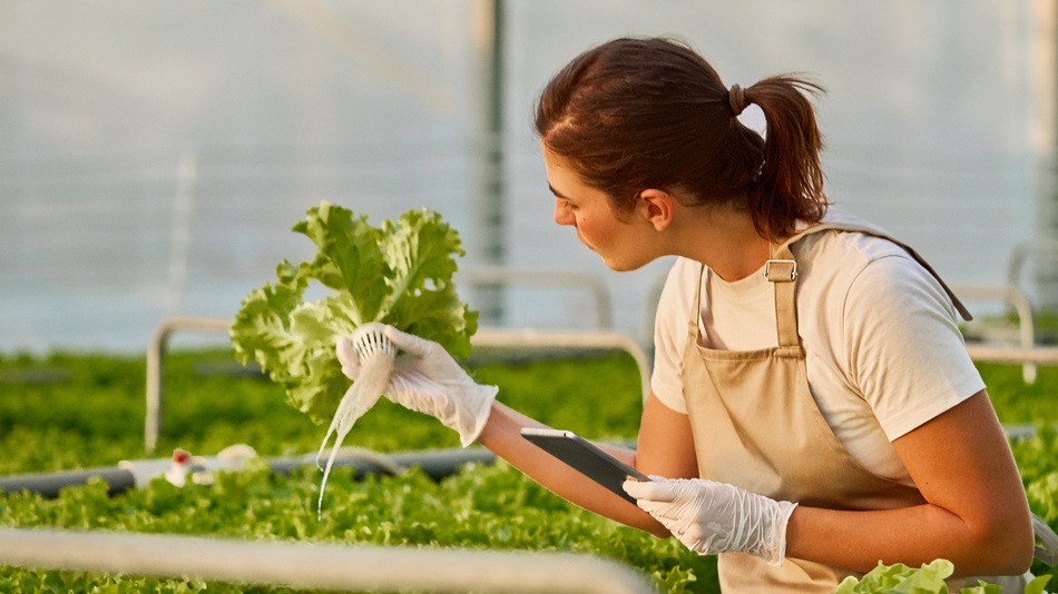 El Día Internacional de la Sanidad Vegetal recuerda la importancia de proteger cultivos y ecosistemas frente a plagas y enfermedades