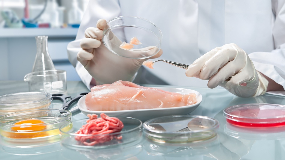 la inocuidad alimentaria es fundamental para garantizar que los alimentos sean seguros y puedan consumirse sin riesgos para la salud