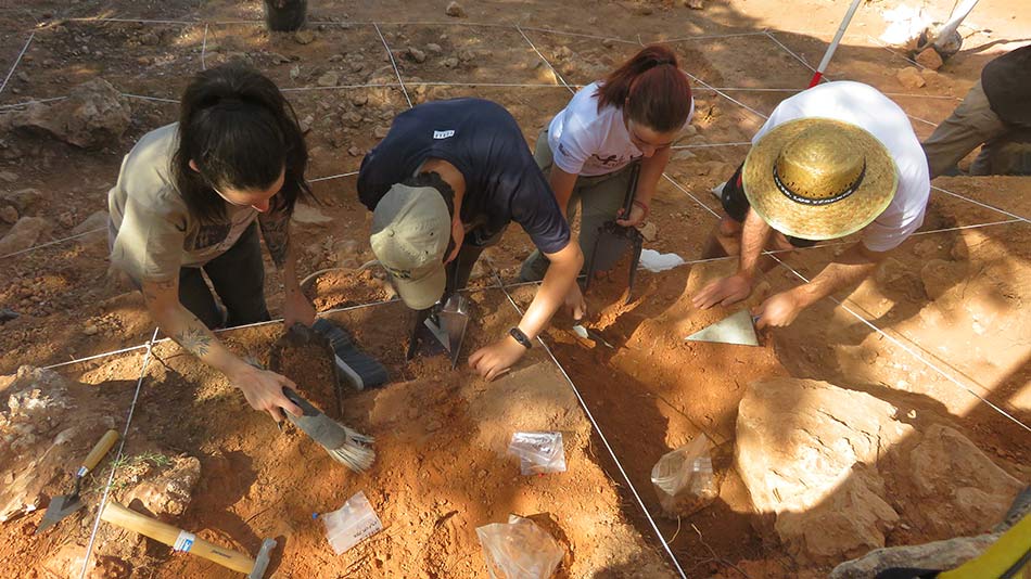 Investigación CENIEH UNIR