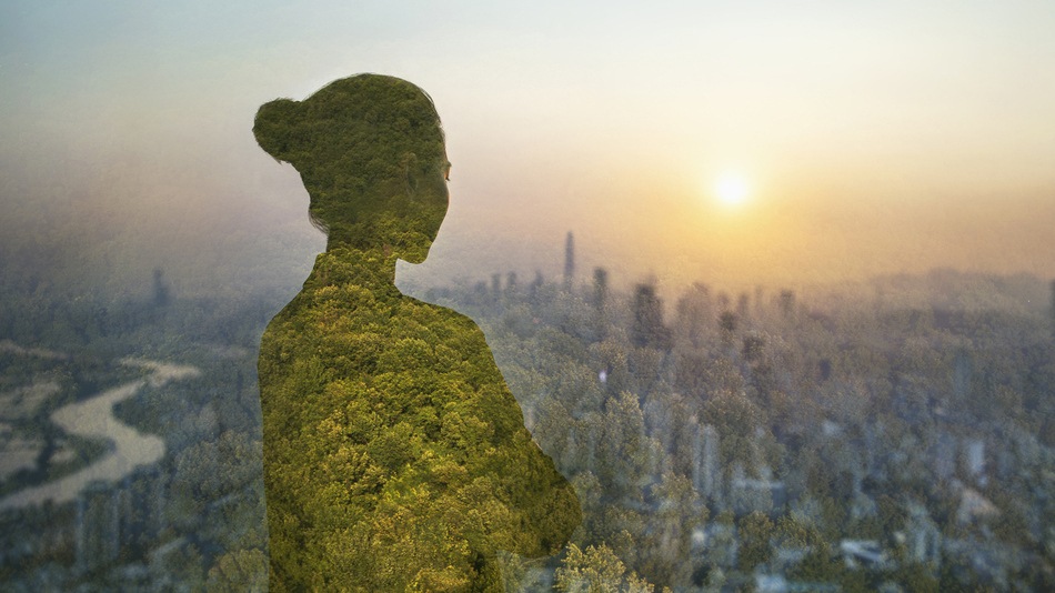Las humanidades ambientales constituyen la intersección crítica entre cultura, ética, historia y el medio ambiente