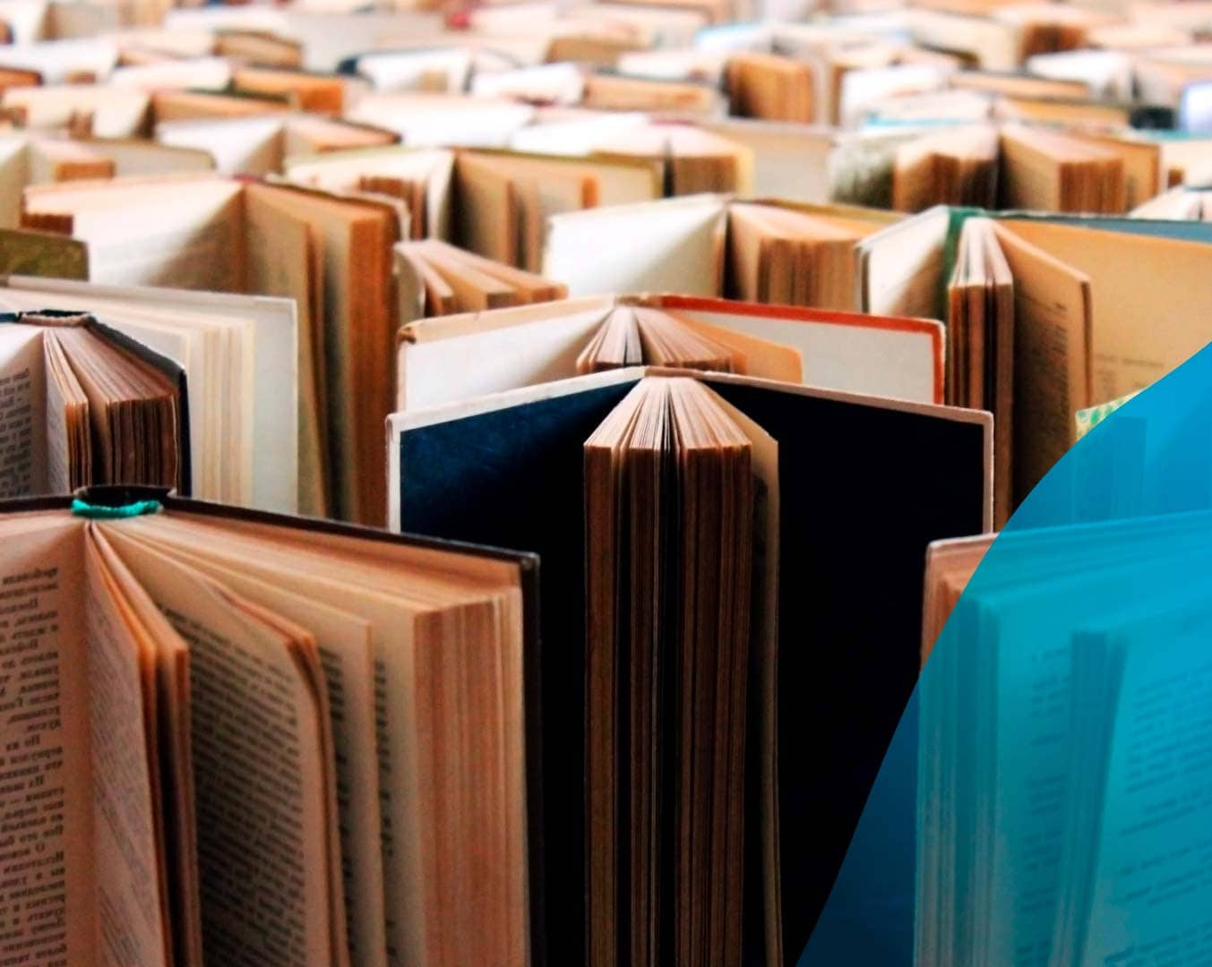 Traducción literaria paisaje y horizonte del oficio