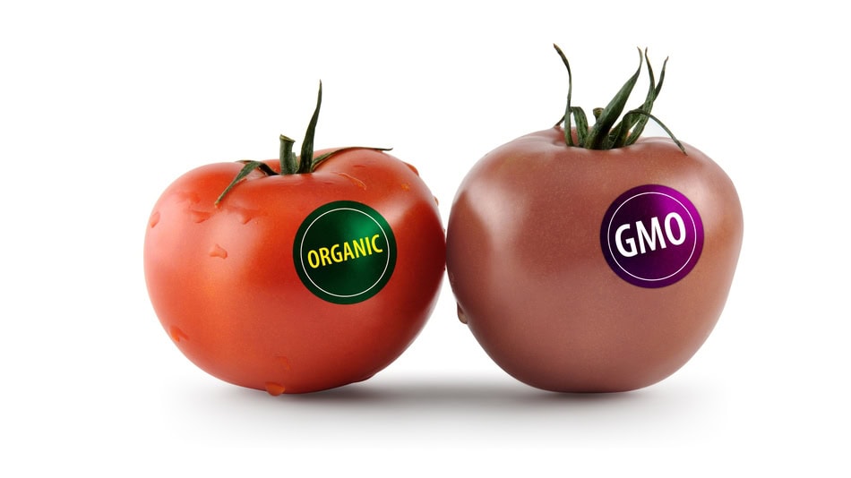 Los alimentos transgénicos son aquellos a los que se les ha modificado su ADN