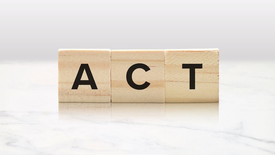 Un terapeuta ACT es un profesional especializado en estrategias de aceptación y atención plena, así como en técnicas de compromiso y modificación de la conducta