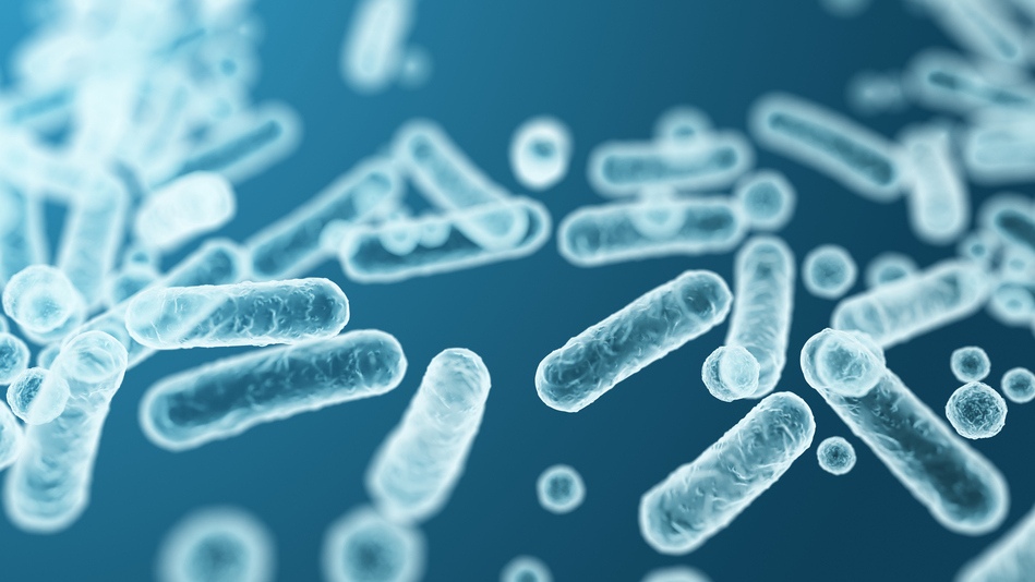 El microbioma es el conjunto de microorganismos y sus genes que viven en el cuerpo