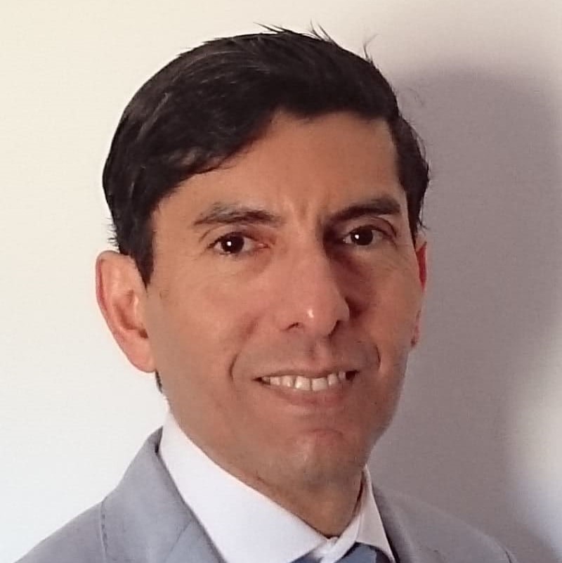 Albert Hendrickson Peralta Jaén, Docente UNIR