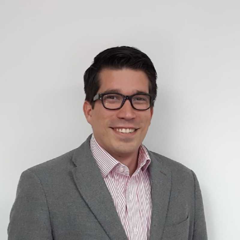 Alberto Castillo Castañeda, Experto asociado